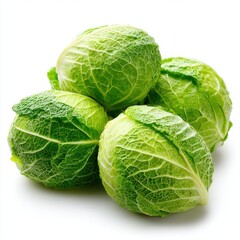Fototapeta premium Savoy cabbage fresh vegetable still life isolated on white background