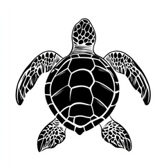 Fototapeta premium Sea turtle, top view, ocean background, nature illustration, graphic design