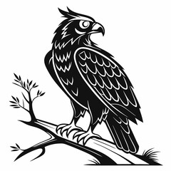 bird, eagle, vector, illustration, animal, cartoon, head, nature, wild, tattoo, hawk, wildlife, black, feather, symbol, raven, beak, drawing, art, animals, logo, design, flying, crow, falcon