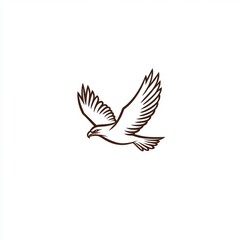 Obraz premium Eagle in flight, white background, nature, freedom, graphic design