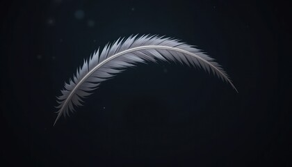 Obraz premium Delicate feather floating gracefully in dark space artistic photography minimalistic environment close-up perspective nature concept