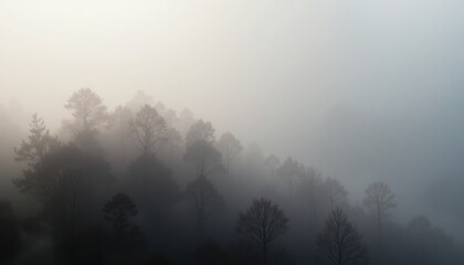 Fototapeta premium Mysterious fog rolling over dense forest nature landscape photography tranquil environment aerial viewpoint serenity concept