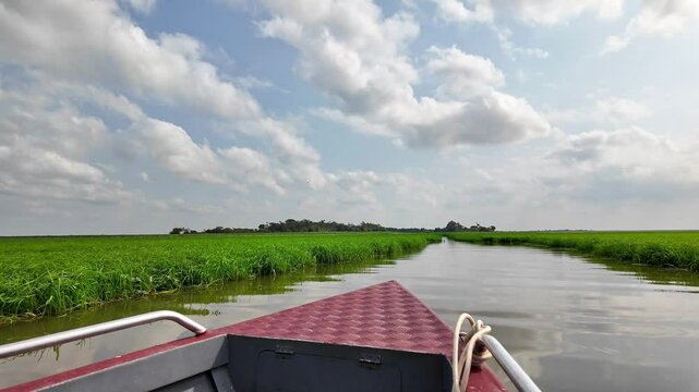 Boot trip on the Jari Canal at Alter do Chao, Santarem District, Para State, Brazil. Natural landscape of flooded areas of the Jari Canal, in an Amazon and Tapajos River