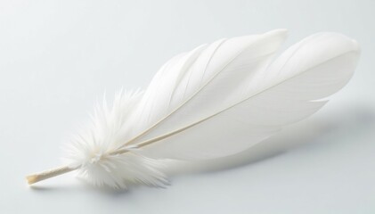 Obraz premium Close-up of pristine white feathers on pure white backdrop, still life, bloom
