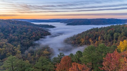 Golden light from a stunning autumn sunrise bathes a mist-covered forest, showcasing fiery leaves in a peaceful, untouched natural environment