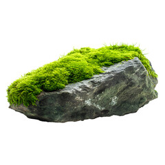 Green moss on stone, isolated on white background --v 7.0