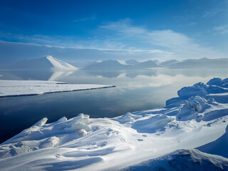 Polar bear tracks in the snow from Svalbard