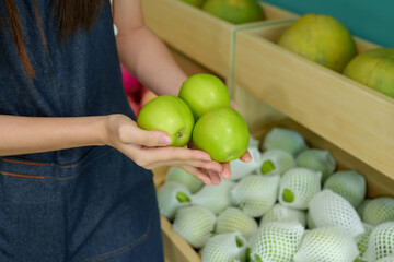 Beautiful small business fruit shop owner. Close-up of young adult female hands holding green apples in front of wooden fruit display shelves in small fresh produce grocery store with netted apples.