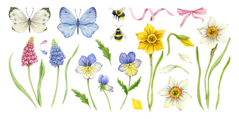 A set of brightly colored spring elements. Daffodils, pansies and muscari flowers, butterflies, bumblebees, ribbon and bow. Watercolor illustration.