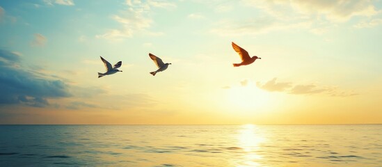 Obraz premium Birds soaring in a golden sunset over the ocean