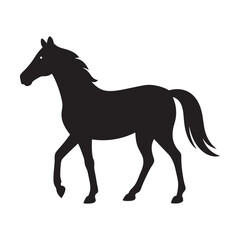 Horse silhouette on white background