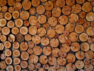 arrangement neatly cut wooden logs forms an intriguing pattern on wall, highlighting various textures and shades brown. rustic setting adds warmth and charm. close up.