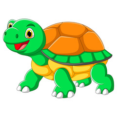Cartoon cute turtle walking in jungle. Vector illustration