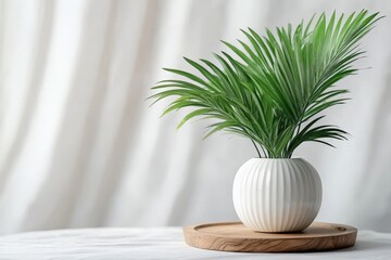 Indoor plant in a decorative pot on a wooden tray against a soft white background in a serene setting
