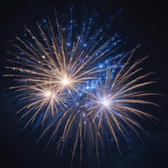 Fototapeta premium fireworks in the night sky, fireworks in the sky