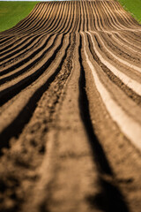colorful countryside farmland in springtime