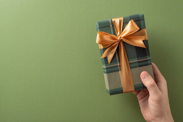 Person holding a plaid-wrapped gift with a golden ribbon, symbolizing celebration and giving