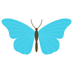 Elegant butterfly illustration, hand drawn blue butterfly for cards, designs, postcards, icons, etc