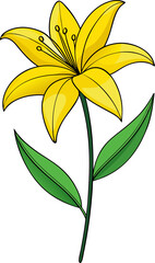 Yellow lily flower with leaves in a floral decorative design on white background