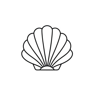 seashell outline on white background