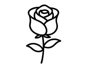 black and white rose