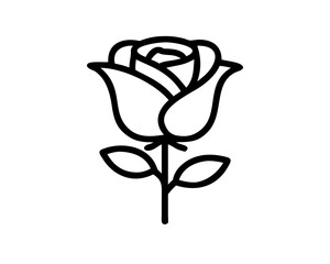 black and white rose