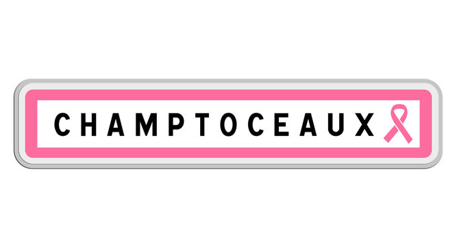 Panneau de sortie de Champtoceaux, Maine-et-Loire, Pays de la Loire avec Ruban Octobre Rose