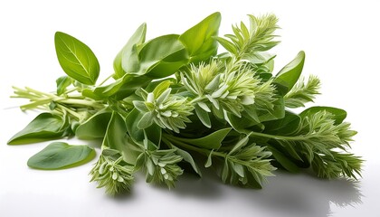 Obraz premium Fresh Green Herbs with Vibrant Leaves and Blossoms on Bright Background for Culinary and Aromatic Use