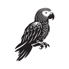 Graceful African Grey Parrot Silhouette Vector - Elegant Tropical Bird Design -  Ideal for Art Prints  - African Grey Parrot Illustration.