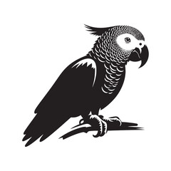 Graceful African Grey Parrot Silhouette Vector - Elegant Tropical Bird Design -  Ideal for Art Prints  - African Grey Parrot Illustration.