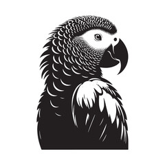 Graceful African Grey Parrot Silhouette Vector - Elegant Tropical Bird Design -  Ideal for Art Prints  - African Grey Parrot Illustration. © WASEE