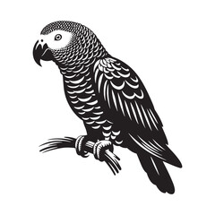 Graceful African Grey Parrot Silhouette Vector - Elegant Tropical Bird Design -  Ideal for Art Prints  - African Grey Parrot Illustration.