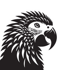 Graceful African Grey Parrot Silhouette Vector - Elegant Tropical Bird Design -  Ideal for Art Prints  - African Grey Parrot Illustration. © WASEE