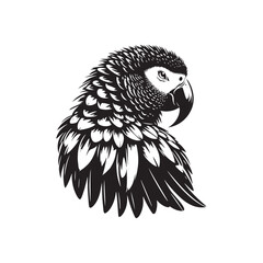 Graceful African Grey Parrot Silhouette Vector - Elegant Tropical Bird Design -  Ideal for Art Prints  - African Grey Parrot Illustration. © WASEE