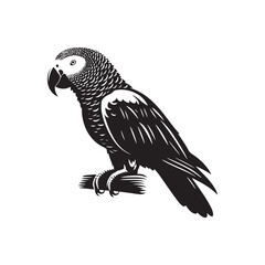 Graceful African Grey Parrot Silhouette Vector - Elegant Tropical Bird Design -  Ideal for Art Prints  - African Grey Parrot Illustration.