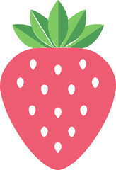 Fototapeta premium vector illustration of a strawberry