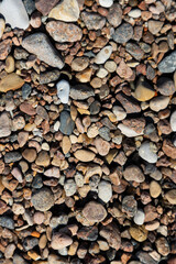 Colorful Pebbles Covering a Coastal Beach Surface in Natural Daylight