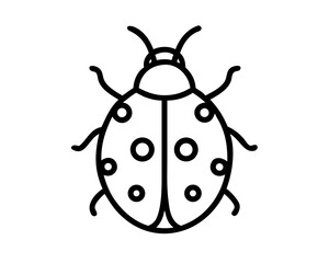 ladybug silhouette in white background