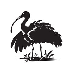 Majestic African Sacred Ibis Silhouette Vector - Elegant Wading Bird Design for Nature Art - African Sacred Ibis  Illustration.