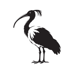 Majestic African Sacred Ibis Silhouette Vector - Elegant Wading Bird Design for Nature Art - African Sacred Ibis  Illustration.