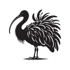 Majestic African Sacred Ibis Silhouette Vector - Elegant Wading Bird Design for Nature Art - African Sacred Ibis  Illustration.