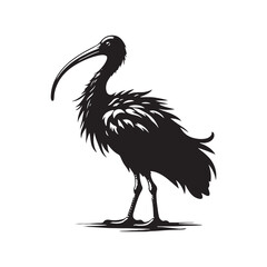 Majestic African Sacred Ibis Silhouette Vector - Elegant Wading Bird Design for Nature Art - African Sacred Ibis  Illustration.