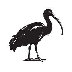 Majestic African Sacred Ibis Silhouette Vector - Elegant Wading Bird Design for Nature Art - African Sacred Ibis  Illustration.