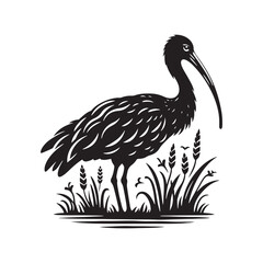 Majestic African Sacred Ibis Silhouette Vector - Elegant Wading Bird Design for Nature Art - African Sacred Ibis  Illustration.