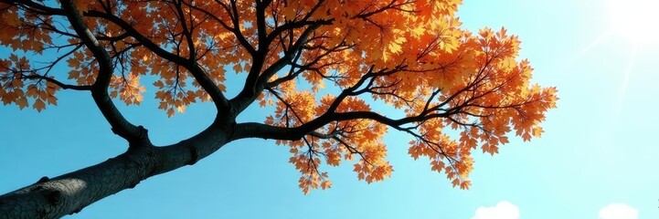 Fototapeta premium A tree's branches stretching up towards the sky, solo, branch