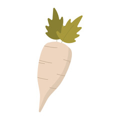 Radish and parsnip with vibrant colors. Perfect for food backgrounds, gardening themes, or healthy lifestyle illustrations and designs