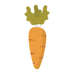 Carrot, vibrant orange vegetable with fresh green leaves. Suitable for healthy living, culinary, organic farming, vegetarian, vibrant food concepts