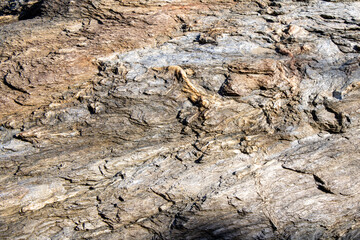 A detailed close-up photograph of a weathered beach rock, highlighting its unique texture and natural patterns. Captured on a sunny day with a bright blue sky, this image showcases the raw beauty of c