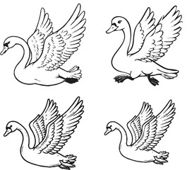 Obraz premium Elegant Black and White Swan Illustrations - Graceful Vector Stock Image