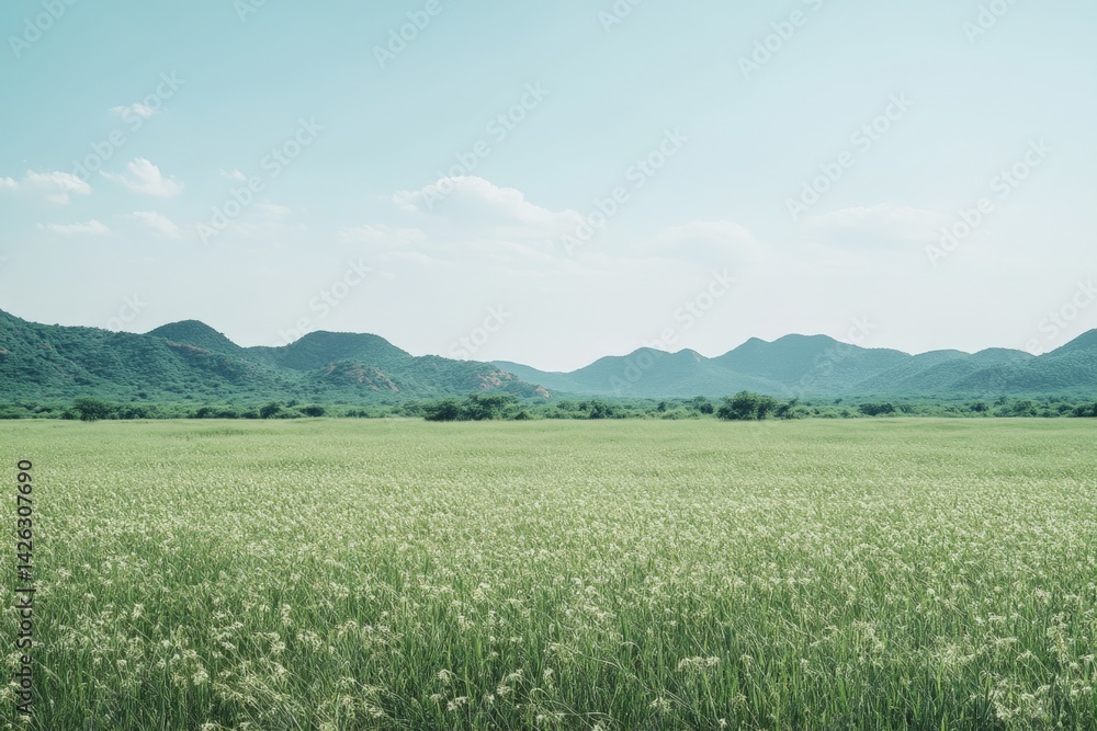 Aufkleber expansive green fields under a clear blue sky with distant mountains in the background during a sunn